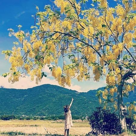 Pu Shi Homestay Yuli Dış mekan fotoğraf