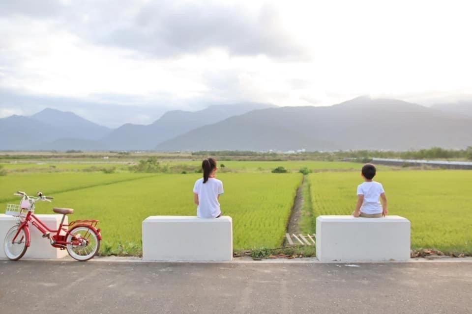 Pu Shi Homestay Yuli Dış mekan fotoğraf