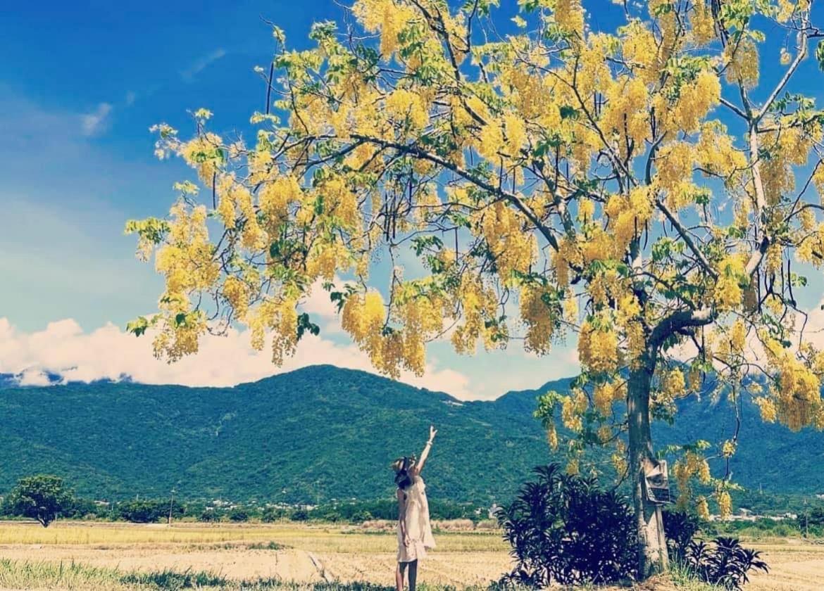 Pu Shi Homestay Yuli Dış mekan fotoğraf