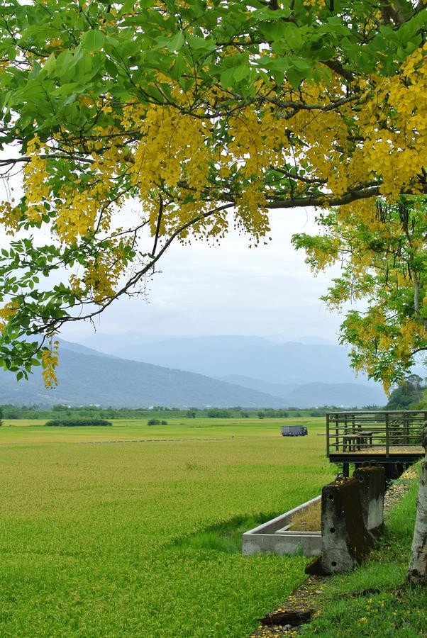 Pu Shi Homestay Yuli Dış mekan fotoğraf