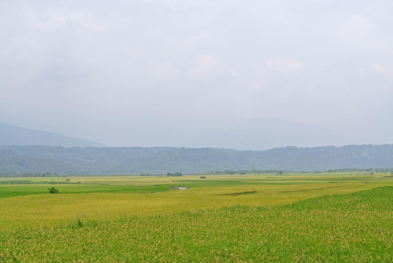 Pu Shi Homestay Yuli Dış mekan fotoğraf